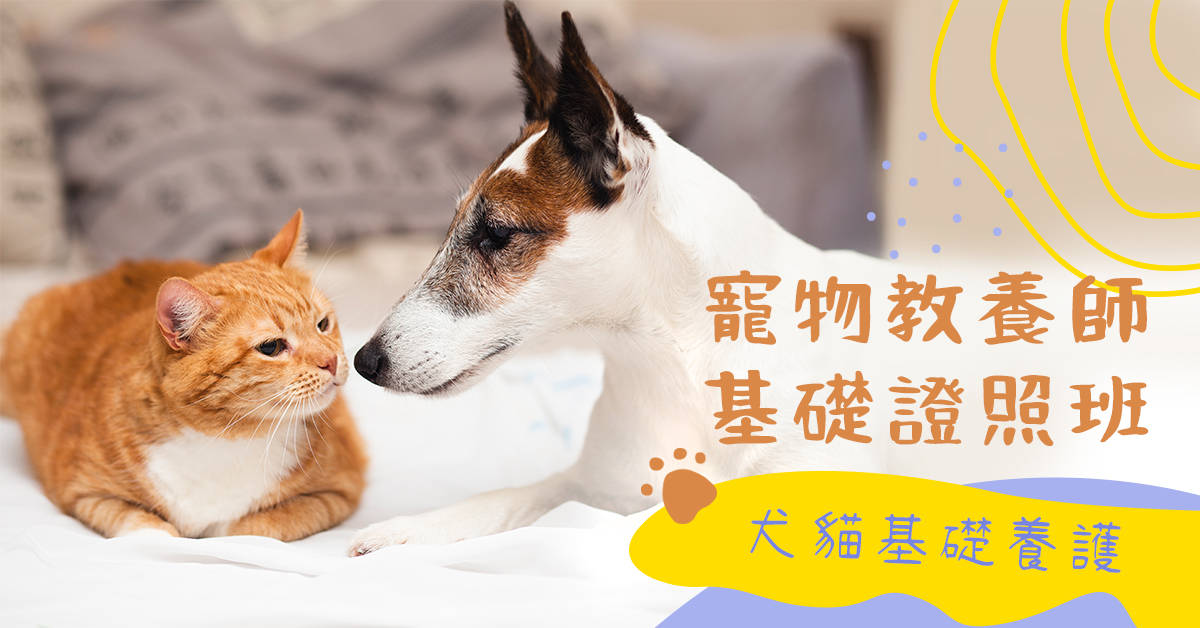寵物教養師基礎證照班:犬貓基礎養護(基礎班)
