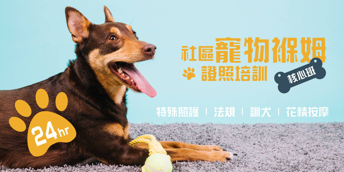 社區寵物褓姆證照培訓【核心班】照護X訓犬X花精按摩