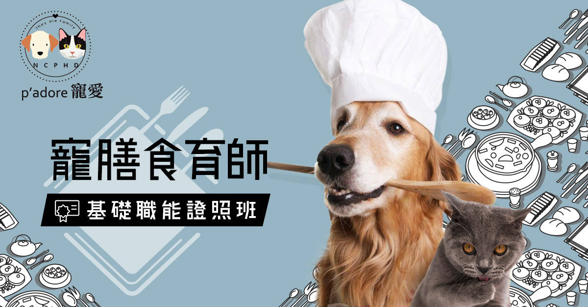 寵膳食育師基礎職能證照班